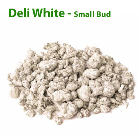 Fleur de CBD Deli White - Small Bud Indoor