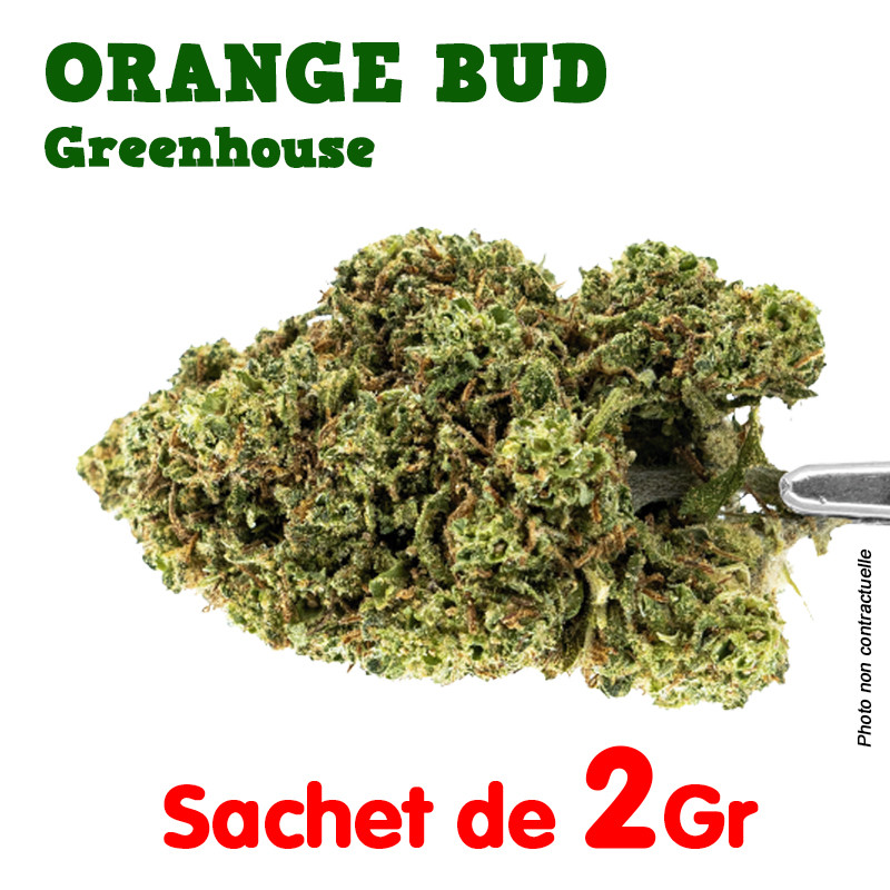 Fleur de CBD - Orange Bud - Greenhouse