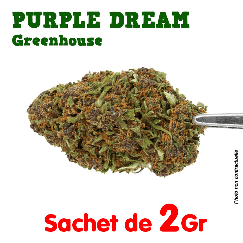 Fleur de CBD - Purple Dream - Greenhouse